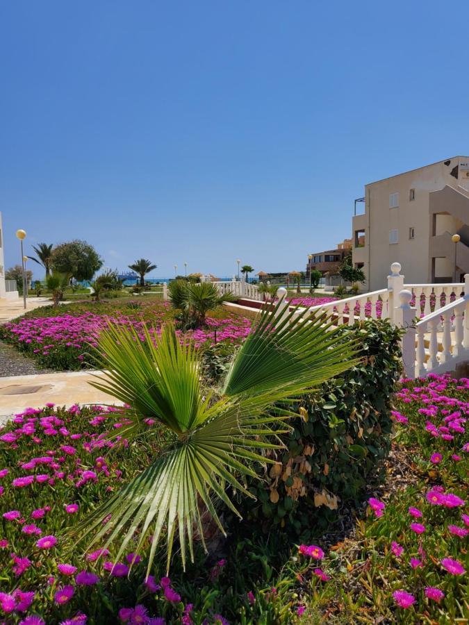 Casa Baja Naturista Con Patio En Primera Linea De Playa Con Piscina Comunitaria! 베라 외부 사진
