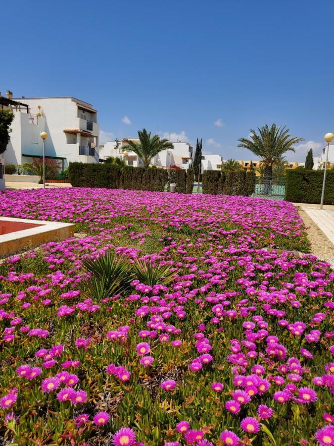 Casa Baja Naturista Con Patio En Primera Linea De Playa Con Piscina Comunitaria! 베라 외부 사진